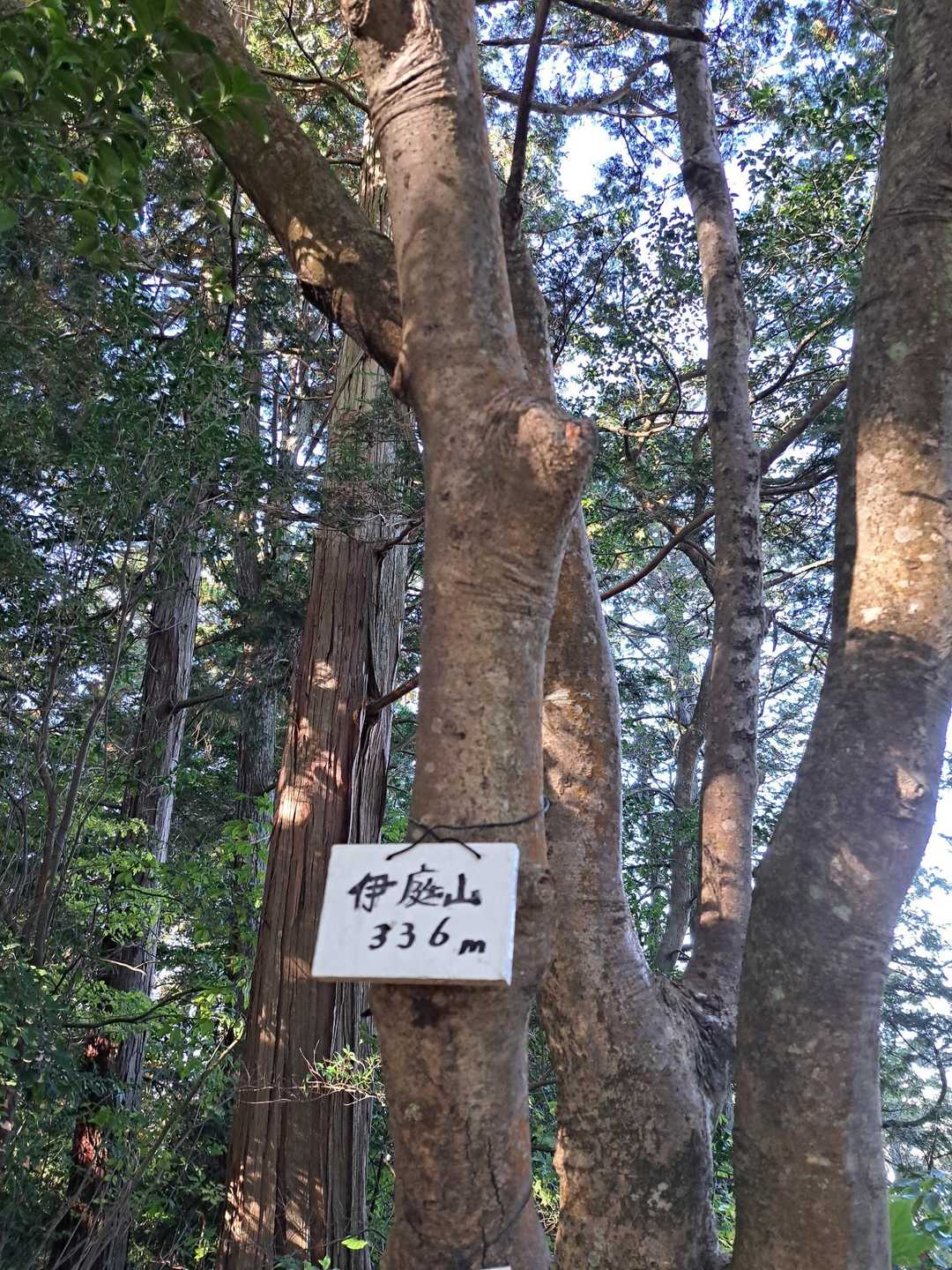 伊庭山🚩336m