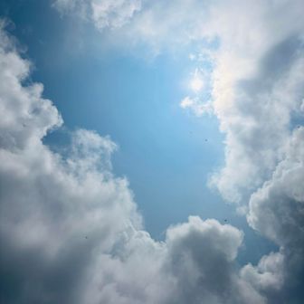 周りの山はガスガスなのに
つだの頭上は晴れてます。
こういう現象が割と多い気がする
ピンポイント晴れ女です。