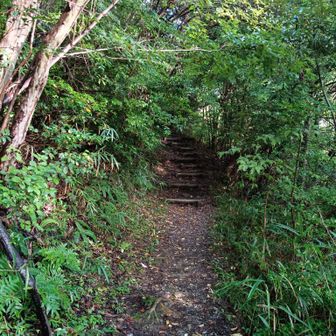 ここから登ります　石田三成も通ったであろう