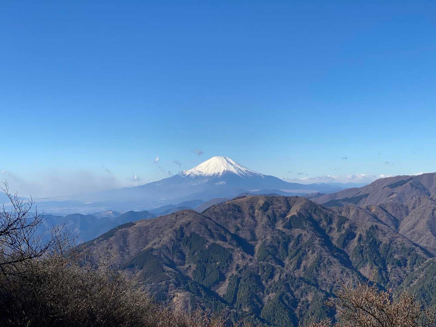 蓑毛バス停-大山-大山寺-大山ケーブルバス停 縦走コースの写真