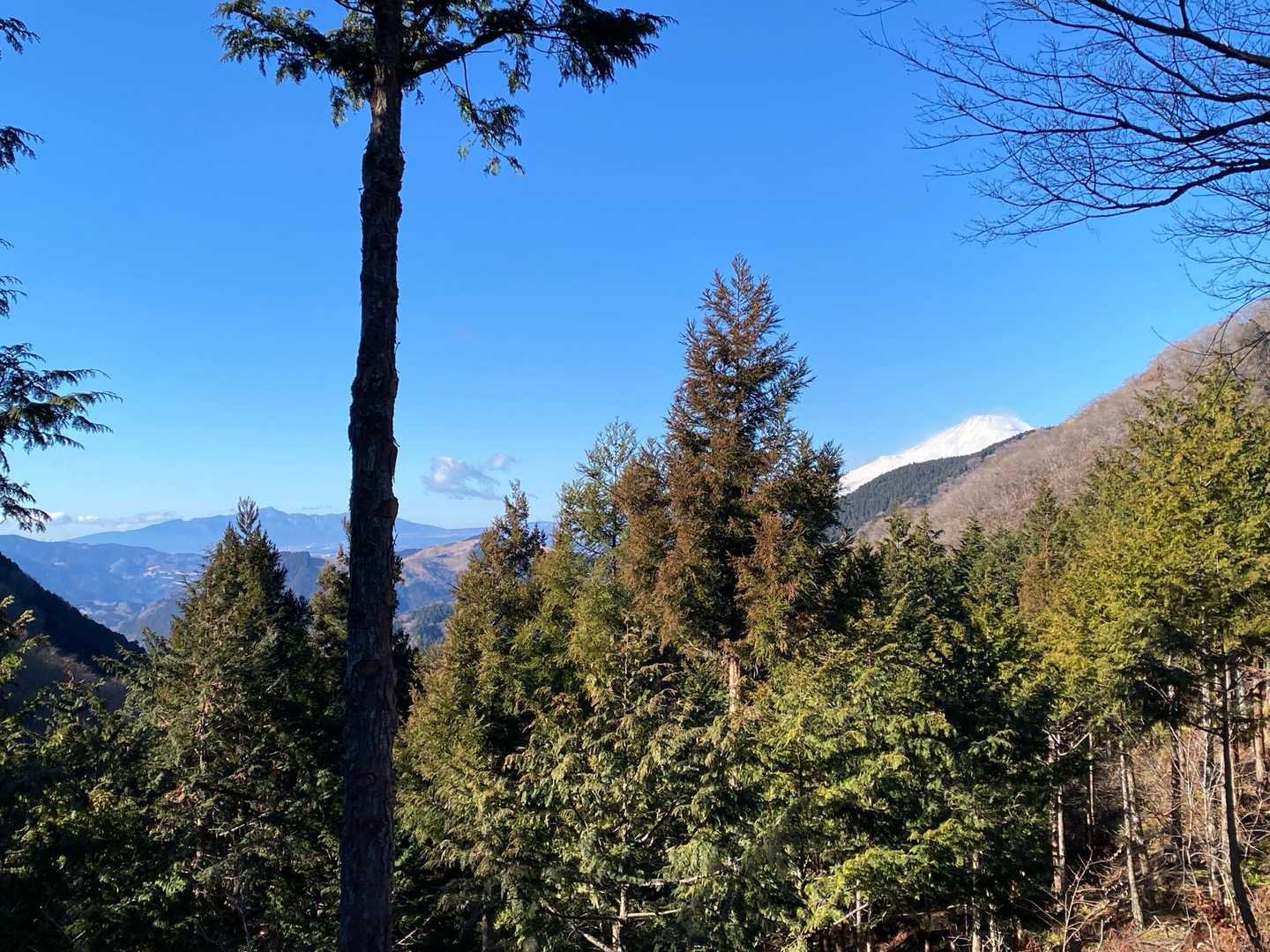 さっきより出てきた富士山😆