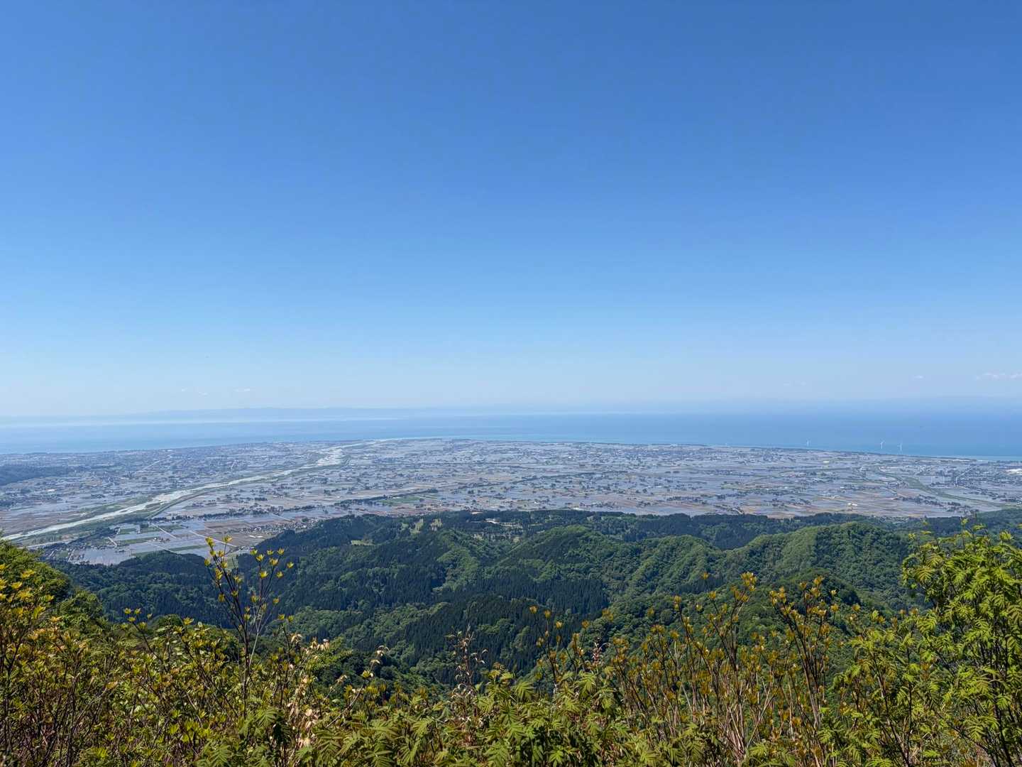 負釣山登山口-負釣山 往復コースの写真