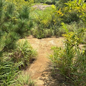 岩山を登ったら遠くまで見渡せます