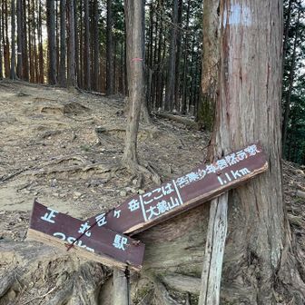 大蔵山(巻かずにちゃんとノボッタヨ)