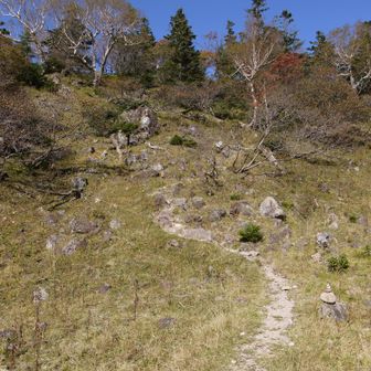 五色山方面へ登り返し。
