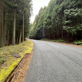 県道？を少し歩きます