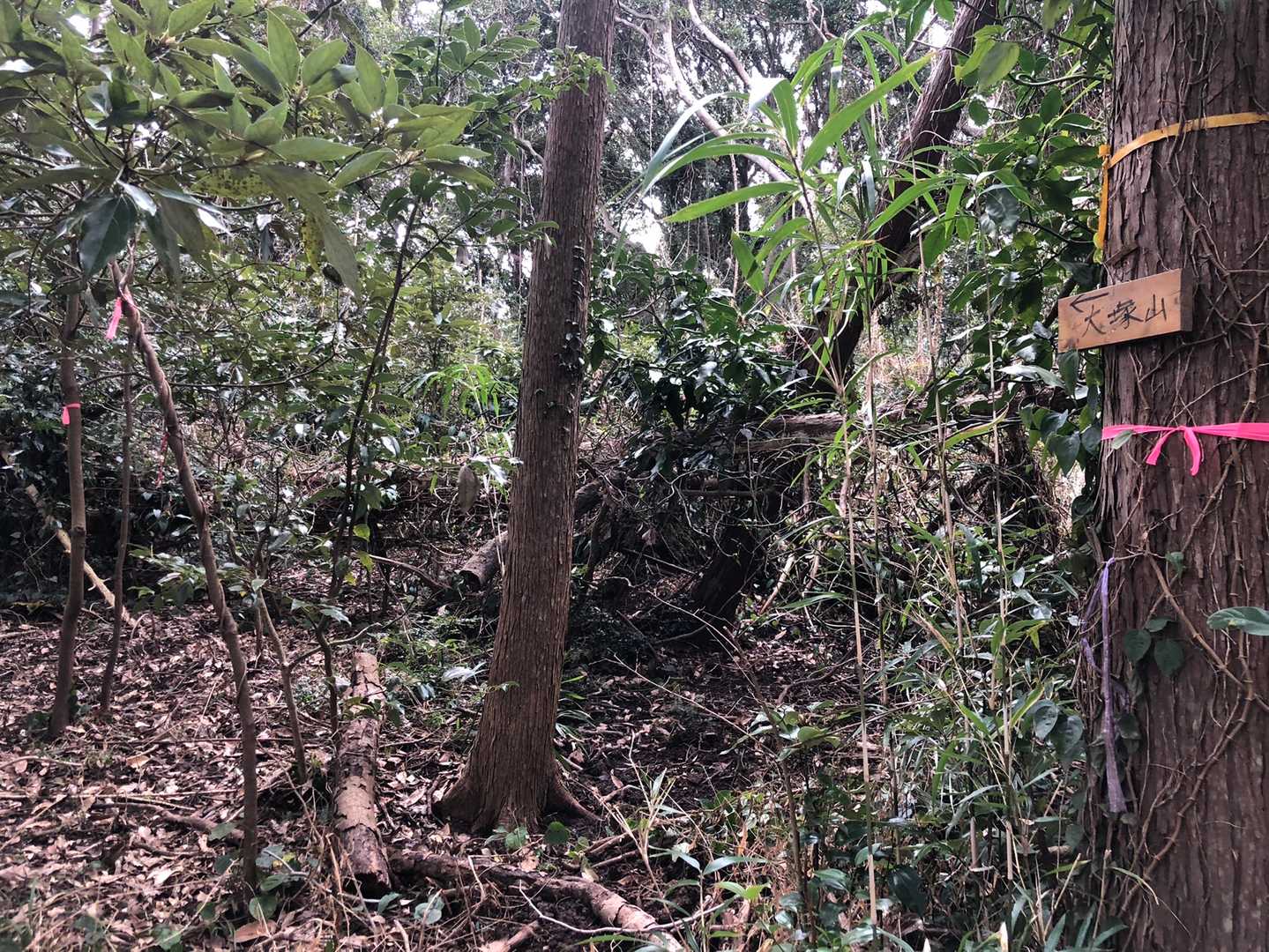「大塚山」看板から取り付きます。驚くほどピンテあり、迷うことはないと思われますが…
