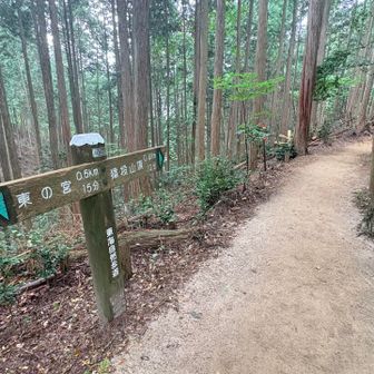 では山頂へ向かいましょう↗️