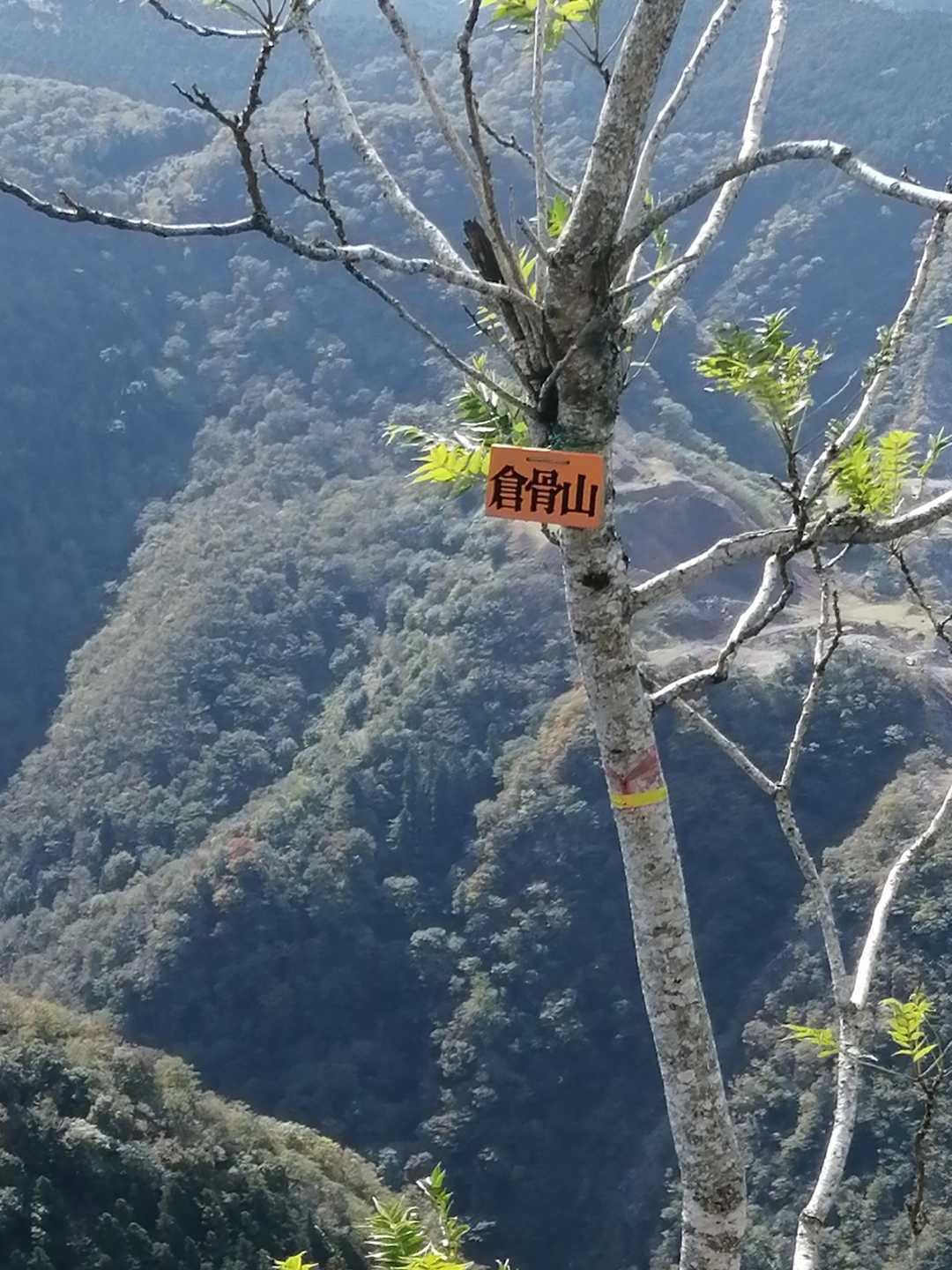 高室山山頂だけでなく皆さん、足を伸ばして、こちらの倉骨山⛰️にも来られていました‼️