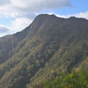 勝田ヶ山付近から見た甲ヶ山