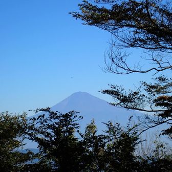 頂上広場より
富士山