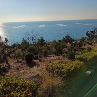 また登って振り返る。