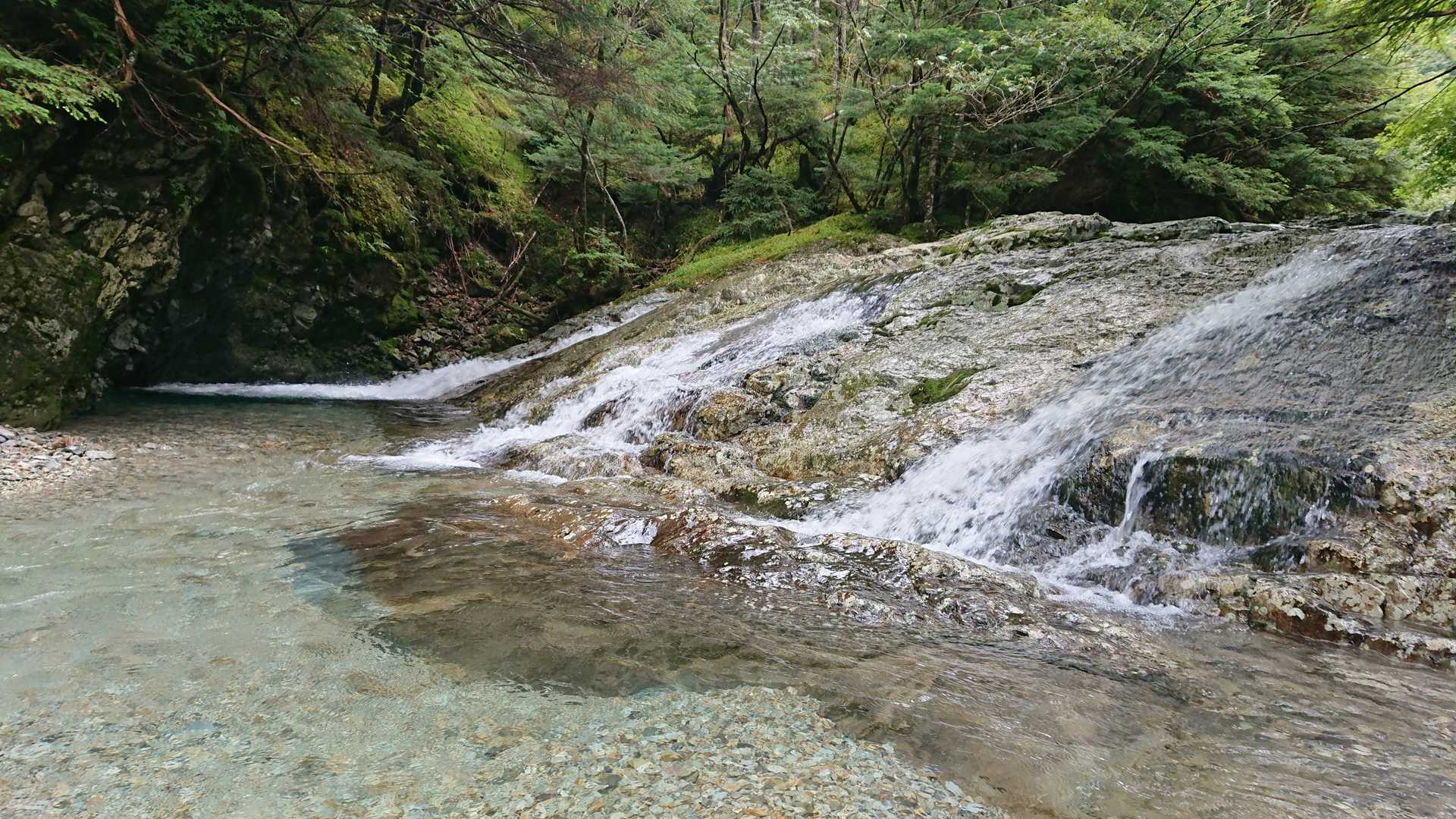 川合登山口-細尾山-八経ヶ岳-弥山 周回コースの写真