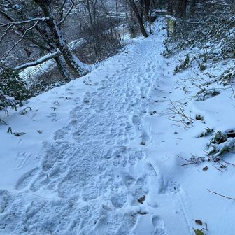 大山夏山登山口