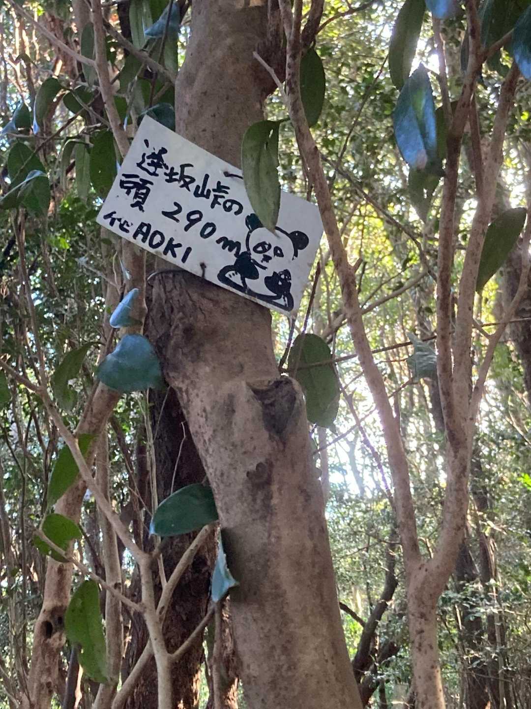 天の岩戸-逢坂峠-逢坂山 往復コースの写真