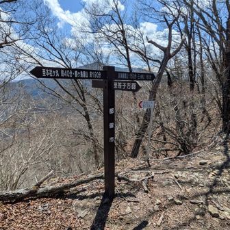 なんやかんやあって清八峠にたどり着きました。一応秀麗富嶽の12番になってる清八山に寄ってから下山します