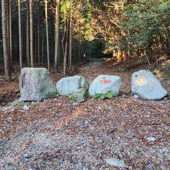 こちらは川沿いルート入口