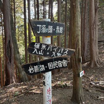 ここから下りは一般登山道です！
いきなり平和になりました笑