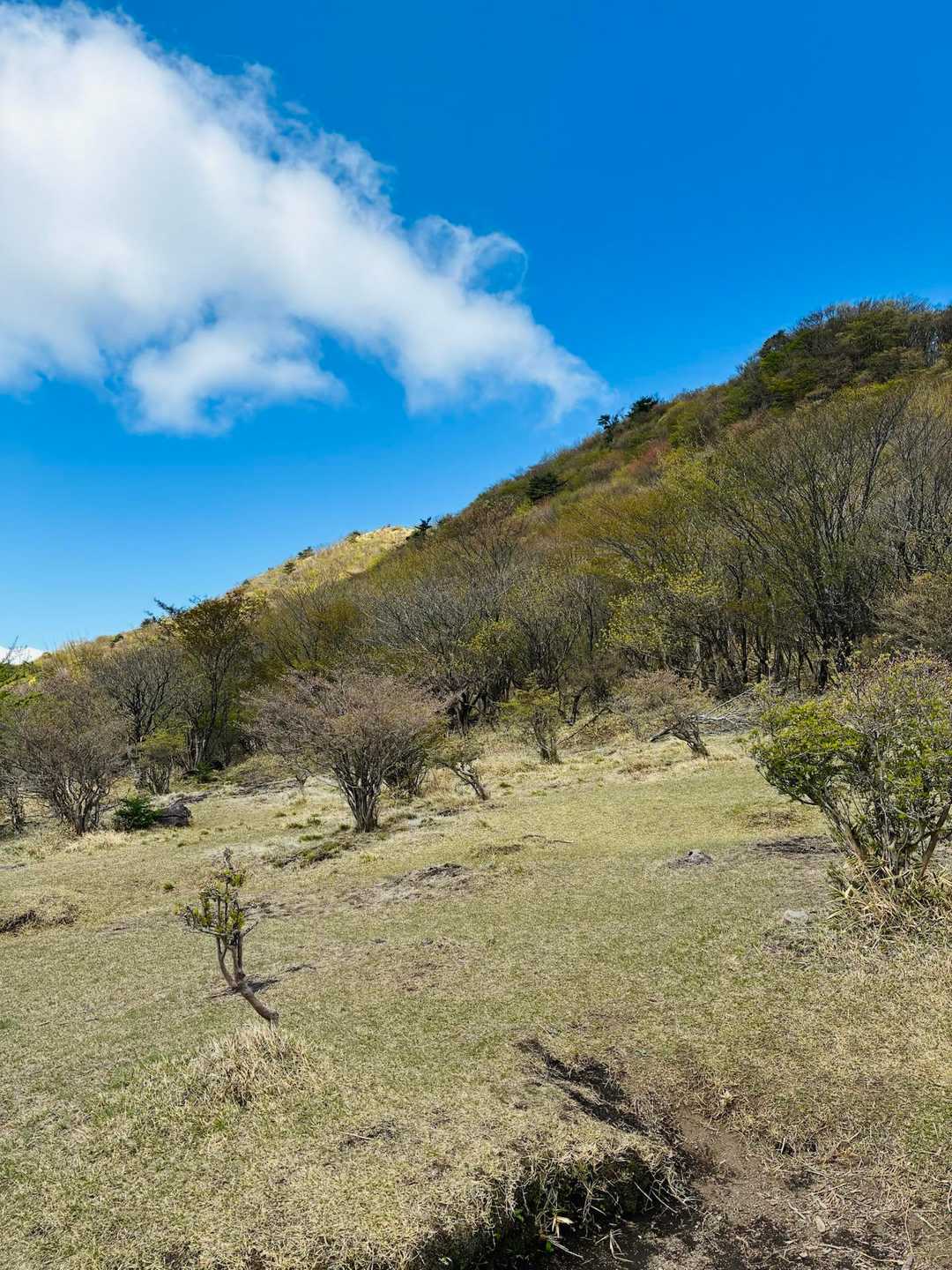 なんだか荒山高原到着で、脚が妙に重い！雨粒が顔に当たる