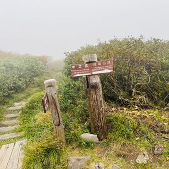 分岐まできた