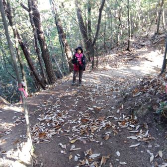 東コースと合流