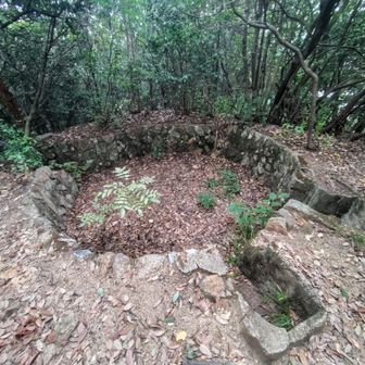 これは砲台…ではなく機銃跡だそう
山頂…