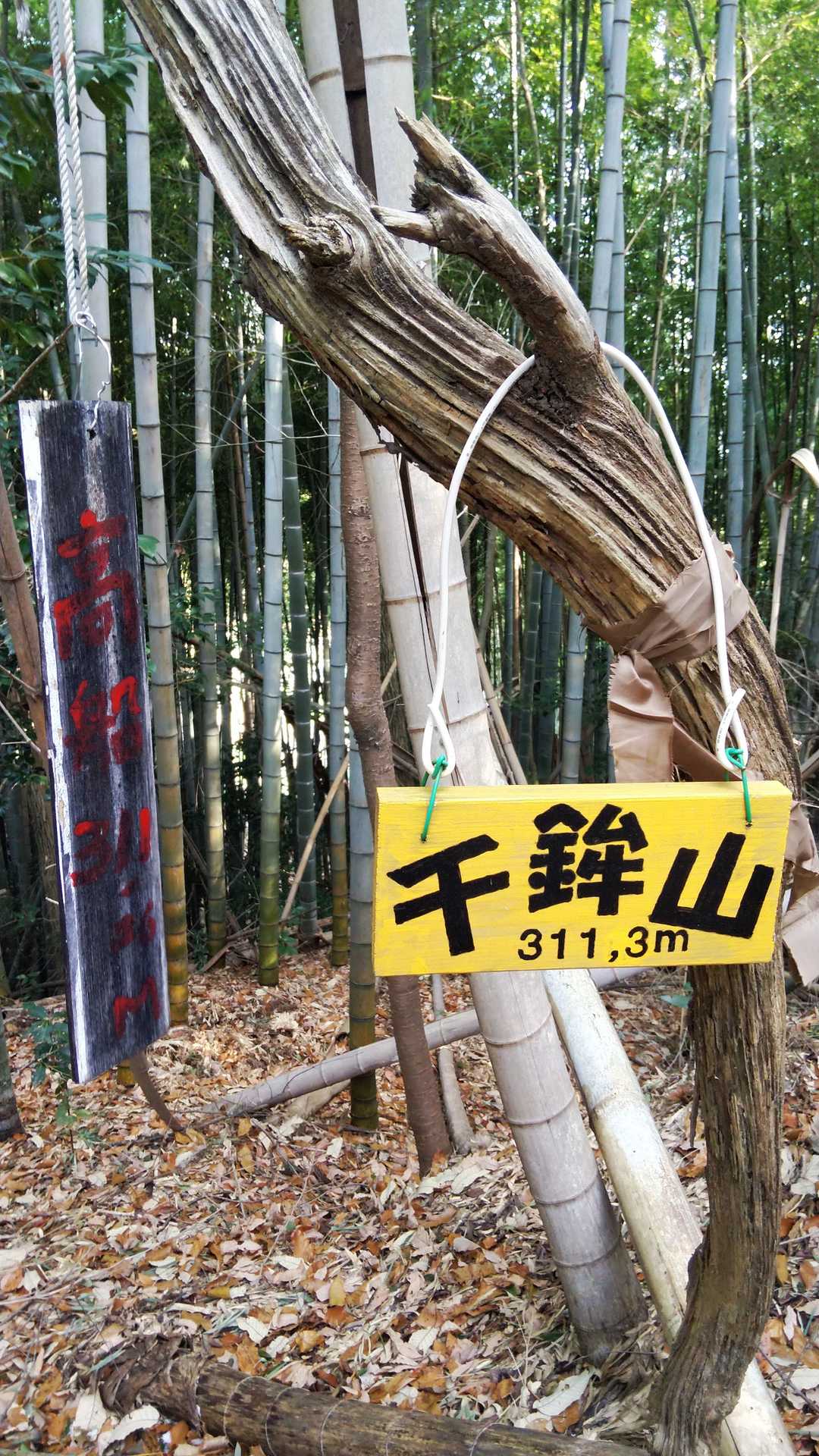 やっとこさ1座目の千鉾山到着〜！
 素敵なリーフをどうも有難う♪