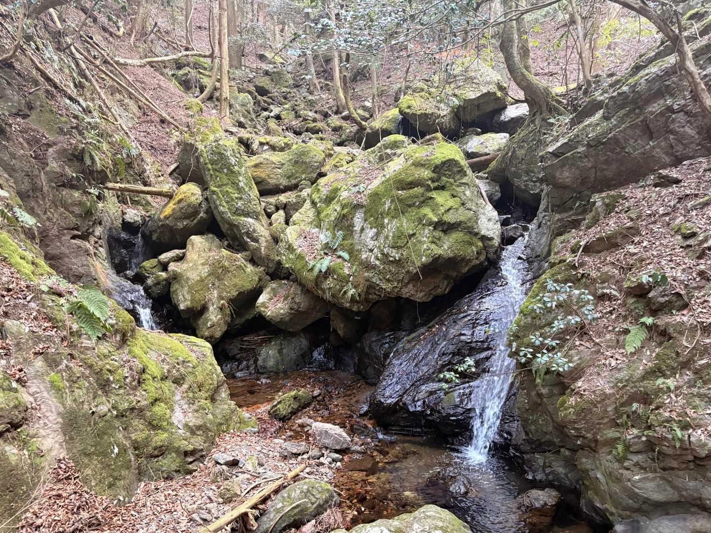 苔に雄々しい岩々、合間を流れる透き通った水
風情があります😇