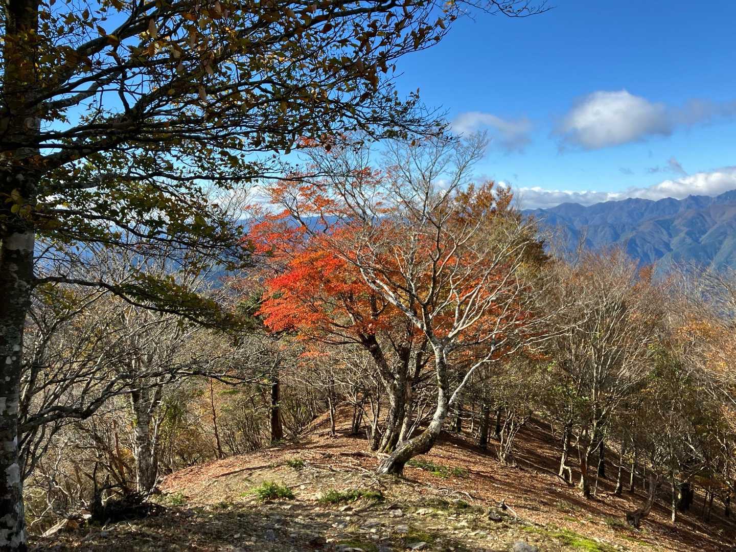又剣山 往復コースの写真