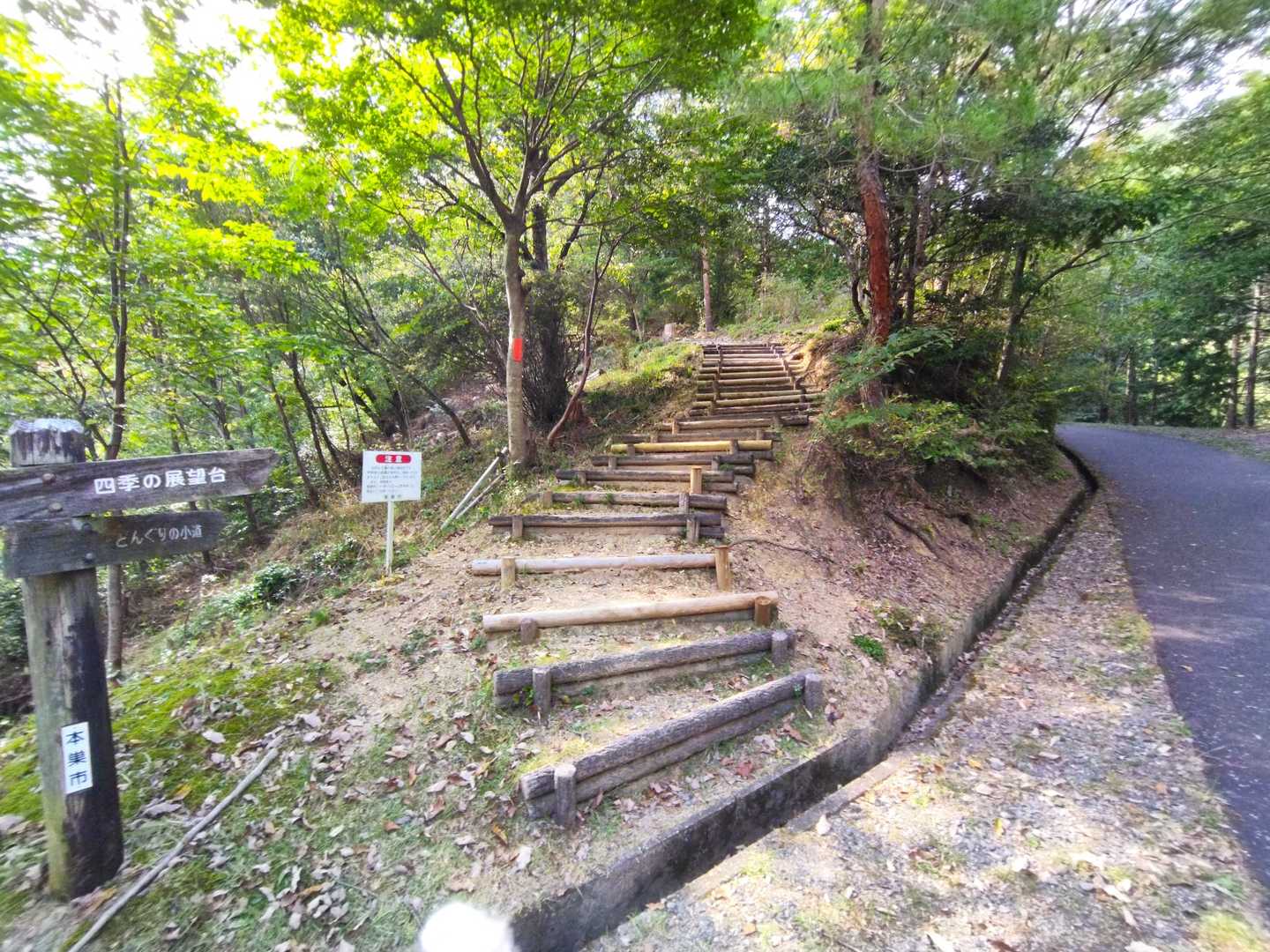 分かれ道、階段の"どんぐりの小径"を選択