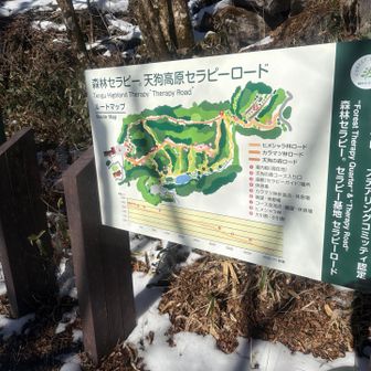 地図がわかりやすい