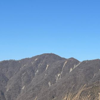 塔ノ岳。遠い…