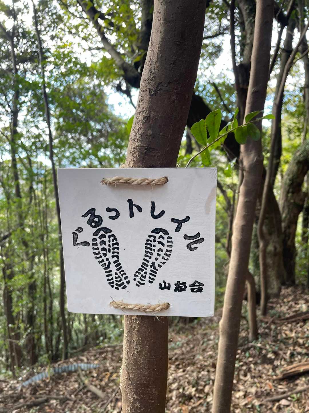 三ヶ根山に向かいます💦
トレイルコース🤔？