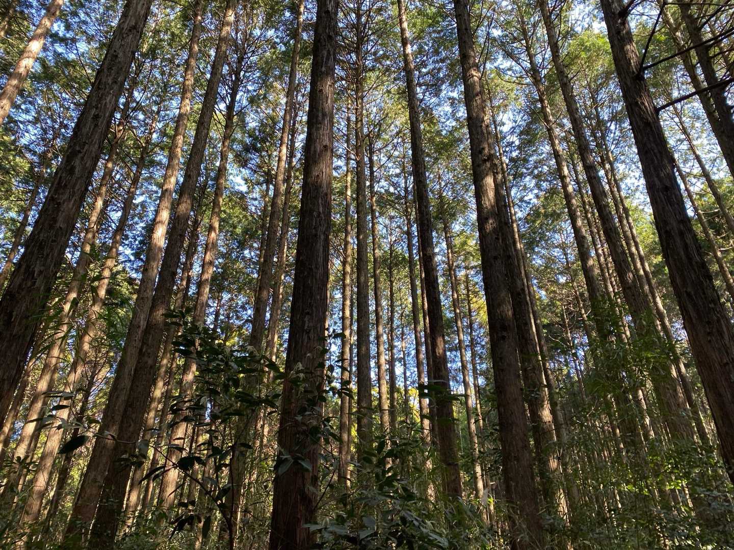 今日は良い天気✨☀️