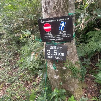 迂回路、指示あり