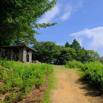 整備された登山道を通ると、あっという間に山頂🙌