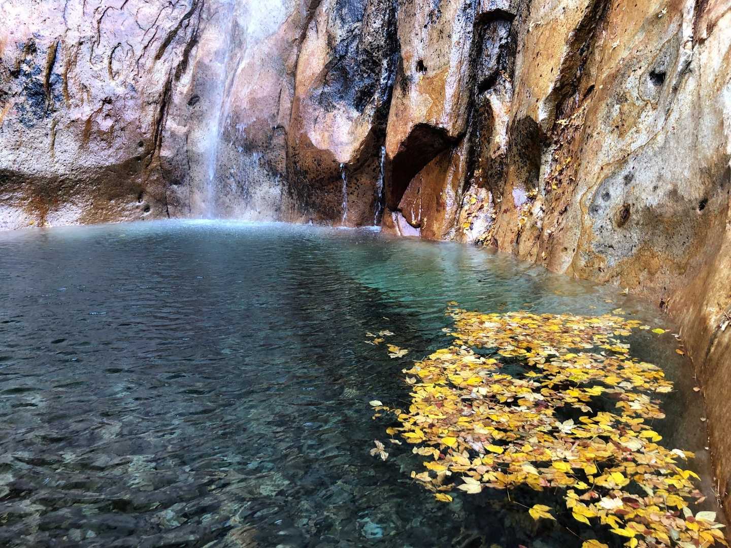 木山内岳 往復コースの写真