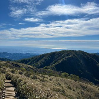 海キラキラでドーパミン溢れる景色