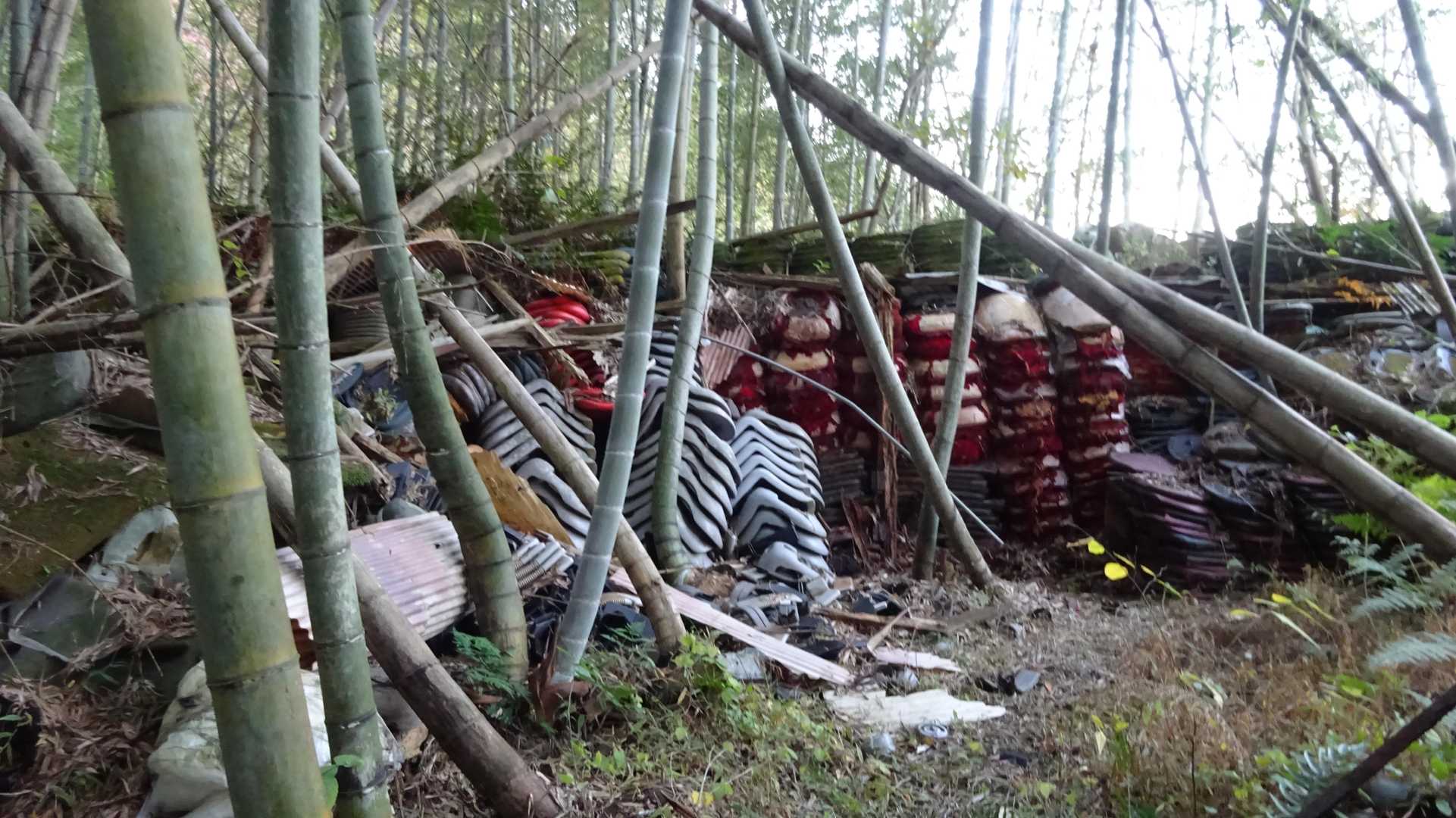 ～福井の村山～
ラッセル/砥村山
藪山でラッセルの記録は皆無
道のオアシスフォーシーズンテラスからP417経由で登る
12月30日を予定
難易度　4
体力度　6