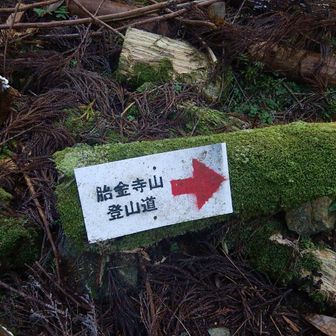 初めての道標
ここから“奥の天狗杉”が見えます