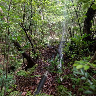 導水管から水が吹き出て