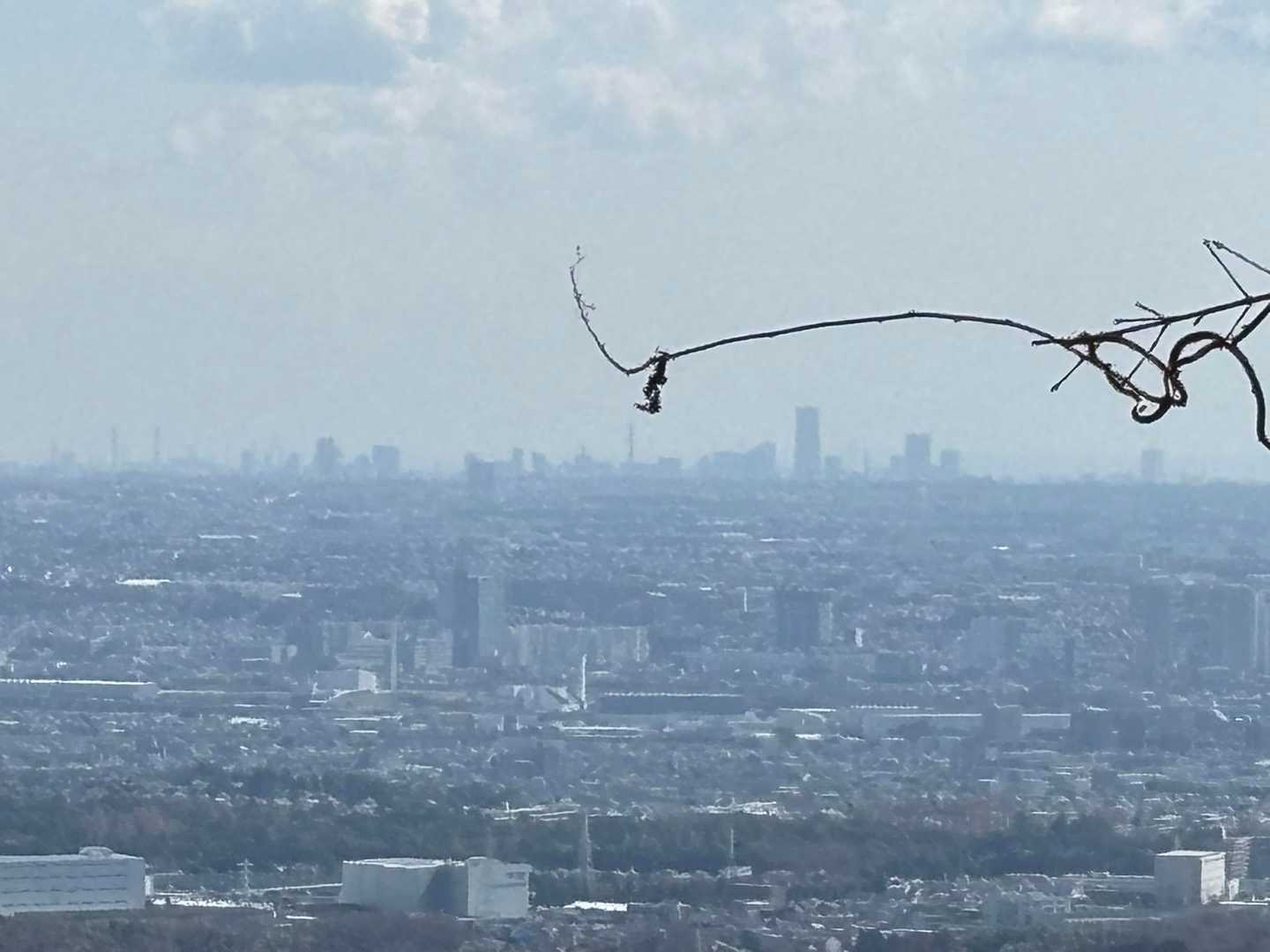 横浜方面のビルとランドマークタワーが見える