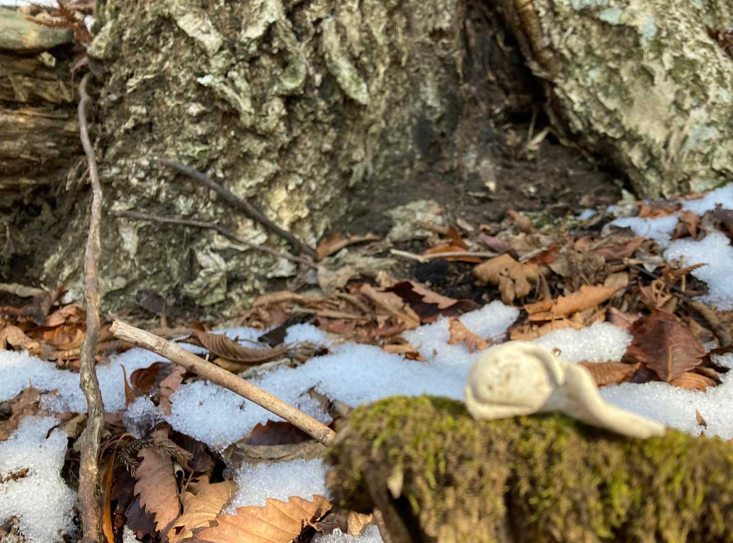 ちょっと酔っちまったかな〜。
ふぅ、危険地帯を抜けて気も緩むな〜