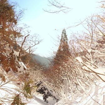 雪道の青ガレは好きです