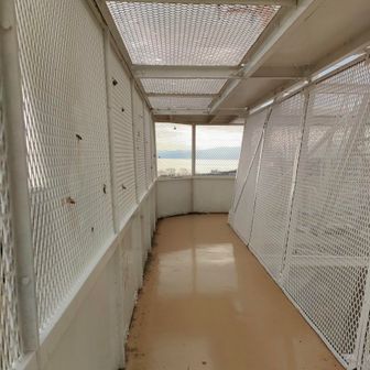 時代は変われど、やっぱ、まだテレビ塔の金網にアレ付けてく人いるんだな☺️