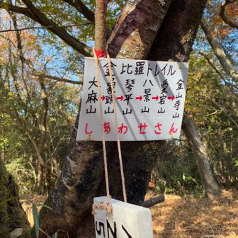 こんぴらトレイル　しあわせさん