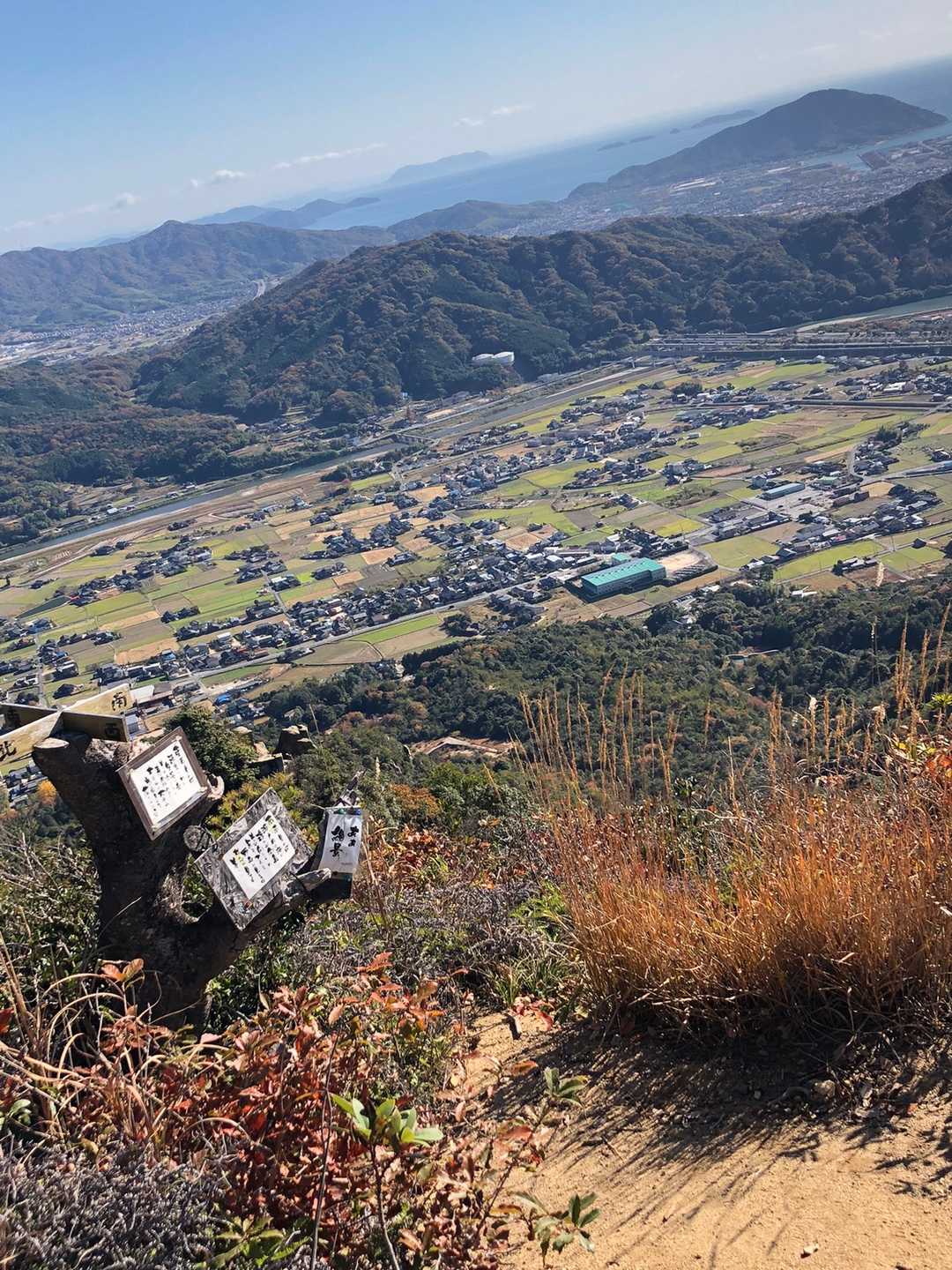 尾根歩きが続きます