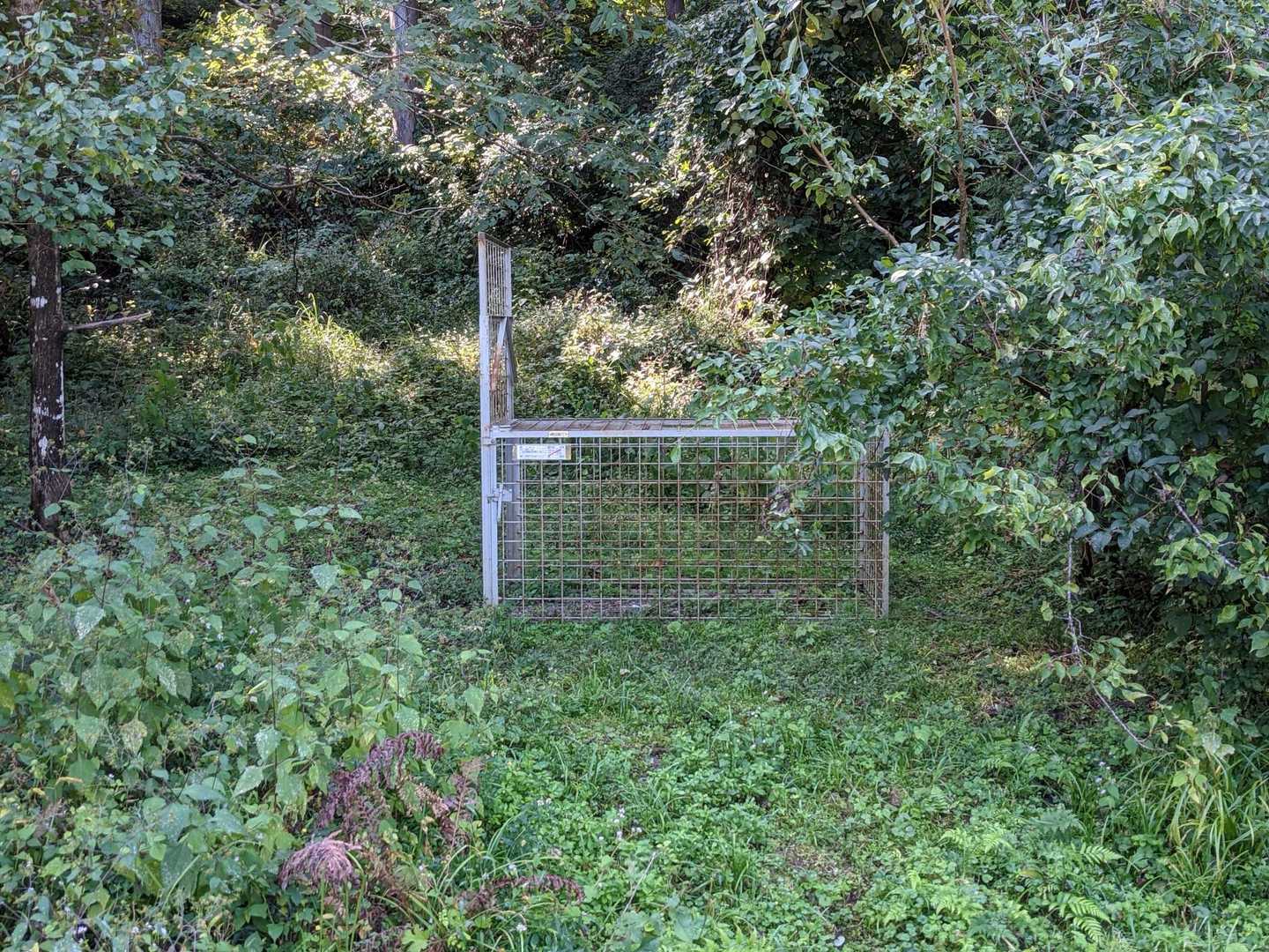熊の檻？イノシシの檻?