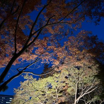 暗くなってきた🌙