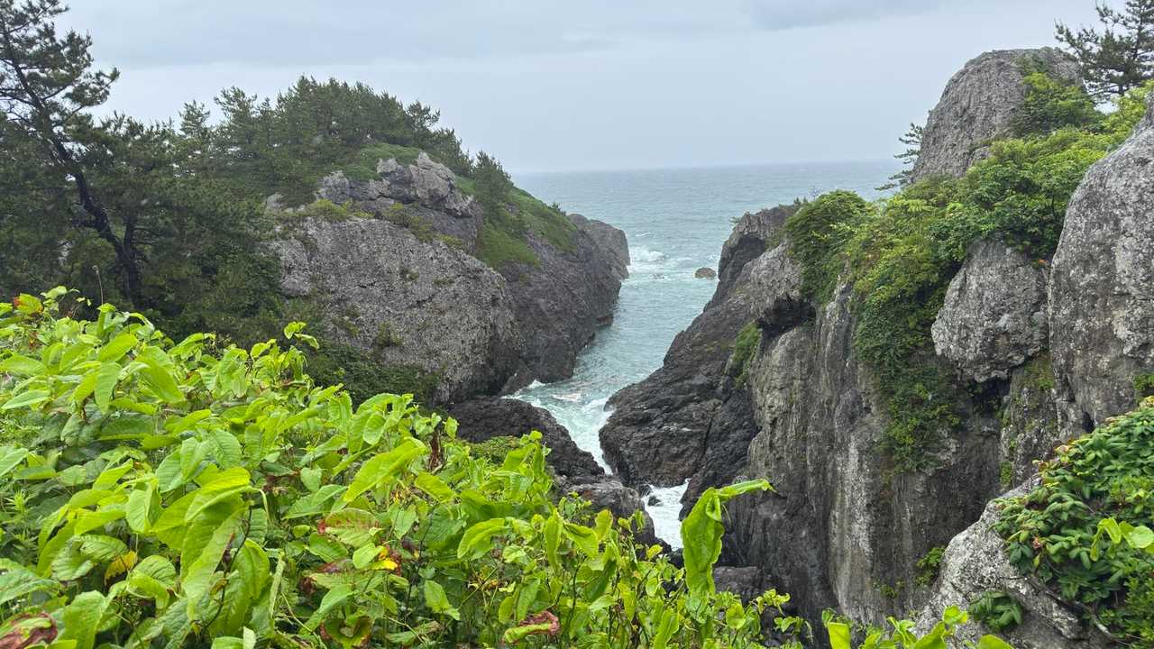 みちのく潮風トレイル（蕪島〜種差海岸）／青森遠征Day2 の写真 38